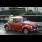 vw_kaefer_1302_01.jpg